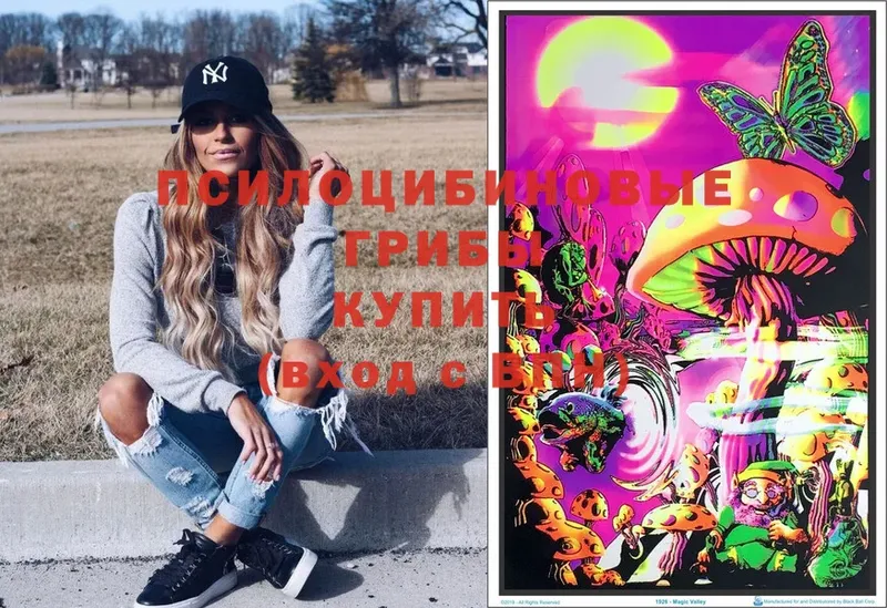 где можно купить   Миньяр  Галлюциногенные грибы Psilocybe 